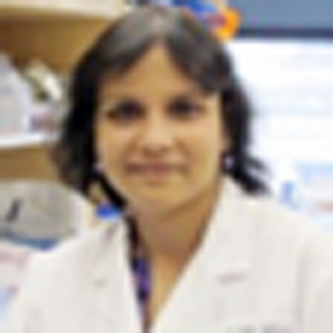 Dr. Madhuchhanda Kundu